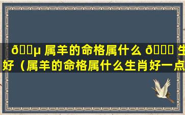 🌵 属羊的命格属什么 🐅 生肖好（属羊的命格属什么生肖好一点）